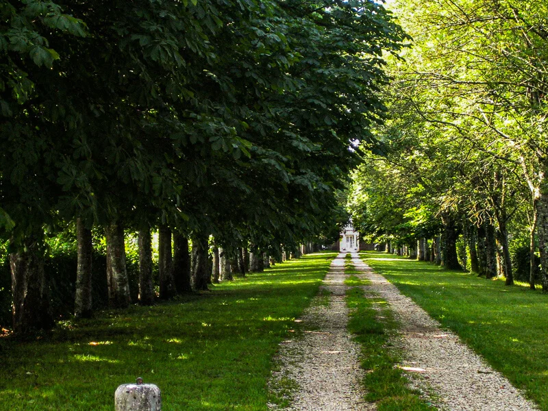 Chateau-Montplaisant_Allée d'entrée